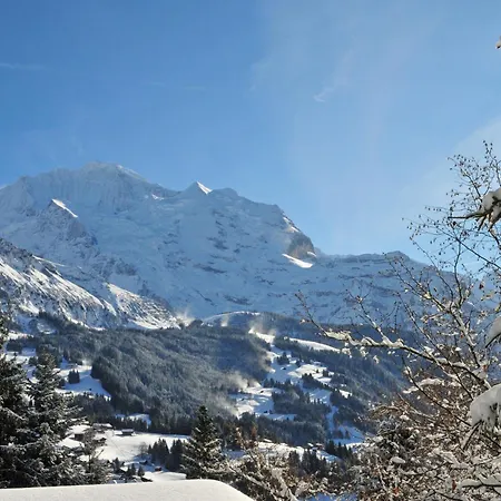 Bekb-gebaeude 07 By Interhome Appartement Wengen